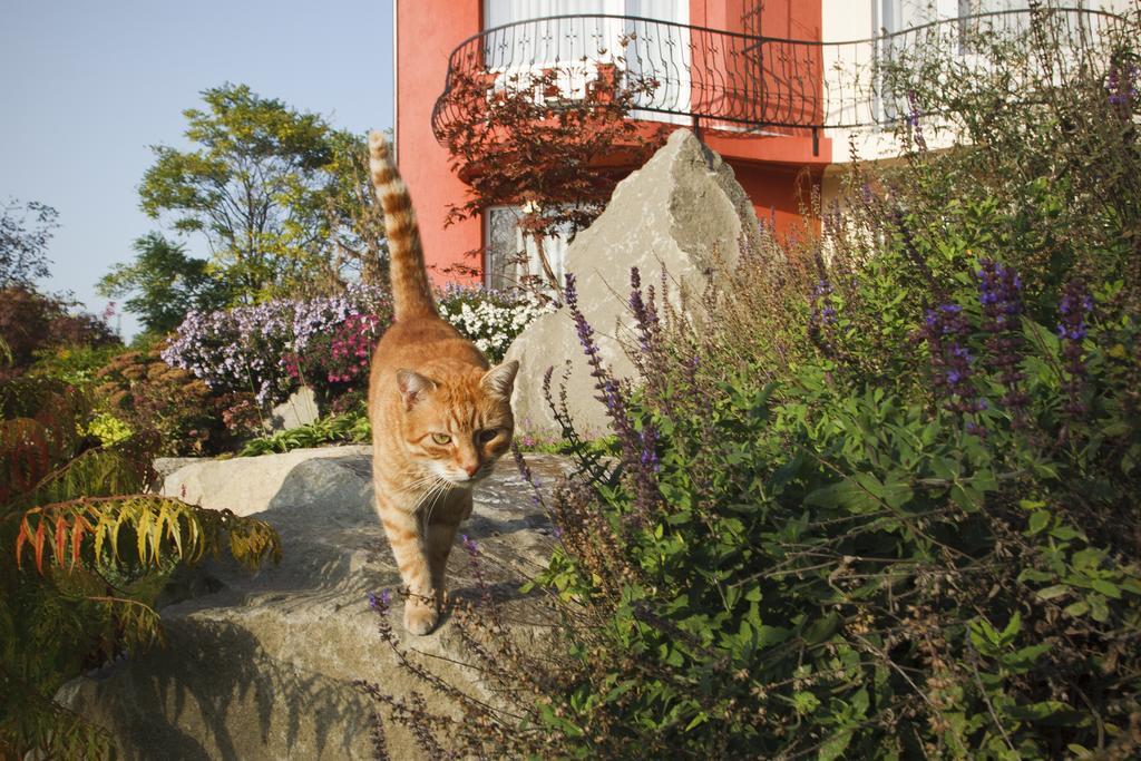 Szőnyi Garden Pest Hotel Boedapest